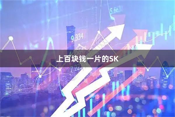 上百块钱一片的SK